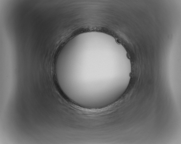 X0000112830039200908210947