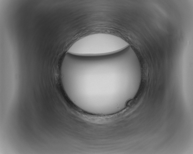 X0000112830040200908210947