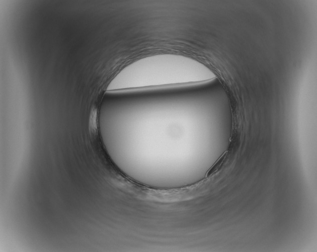 X0000112830041200908210947