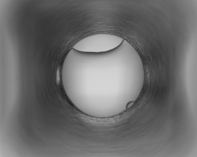 X0000112830042200908210947