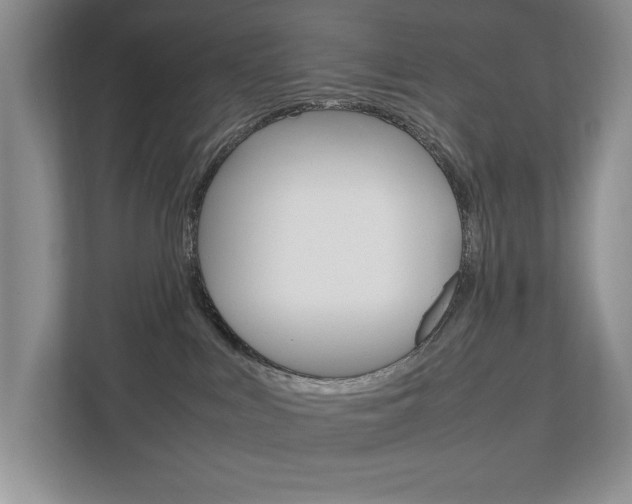 X0000112830043200908210947