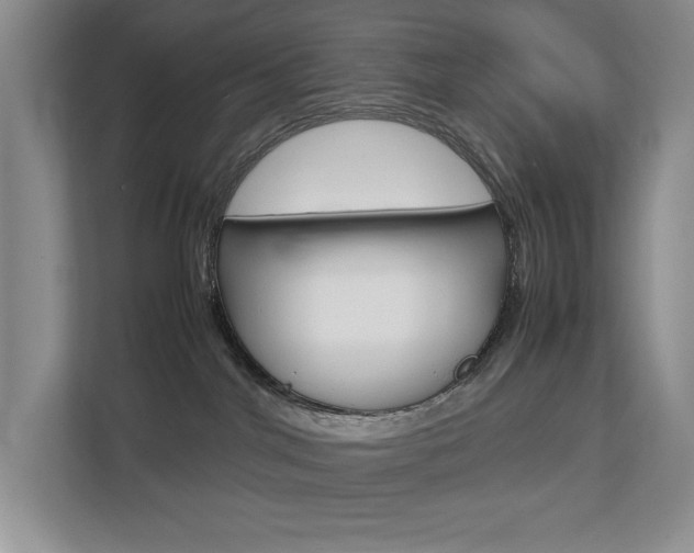 X0000112830044200908210947