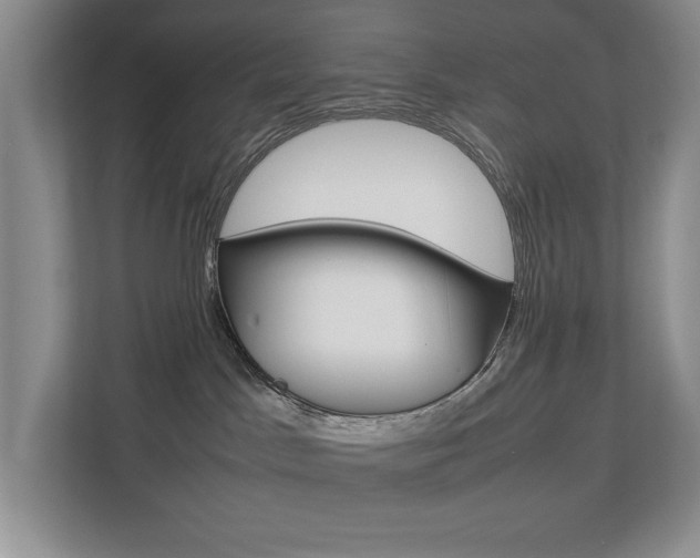 X0000112830045200908210947