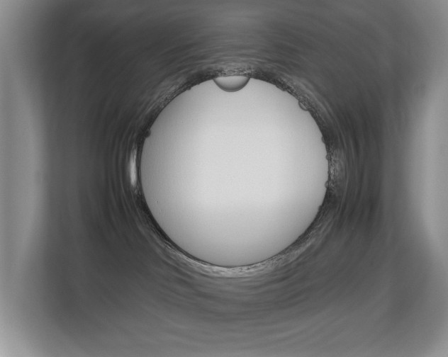 X0000112830046200908210947
