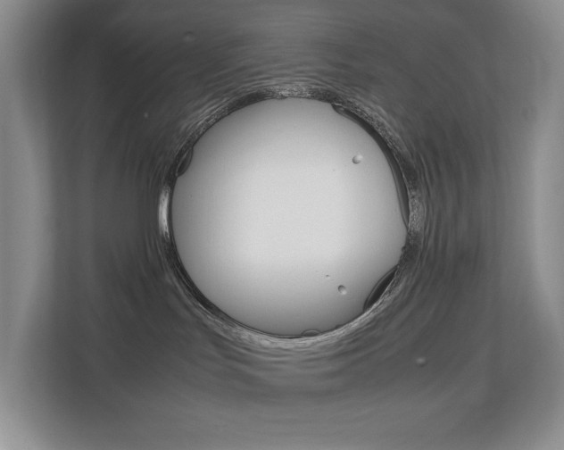 X0000112830047200908210947
