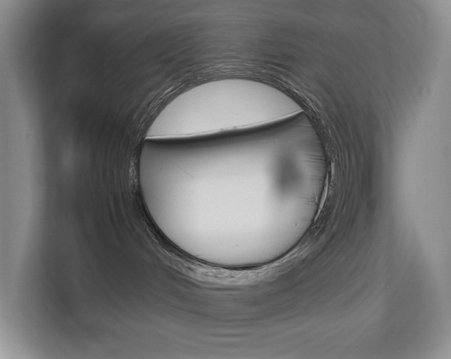 X0000112830048200908210947