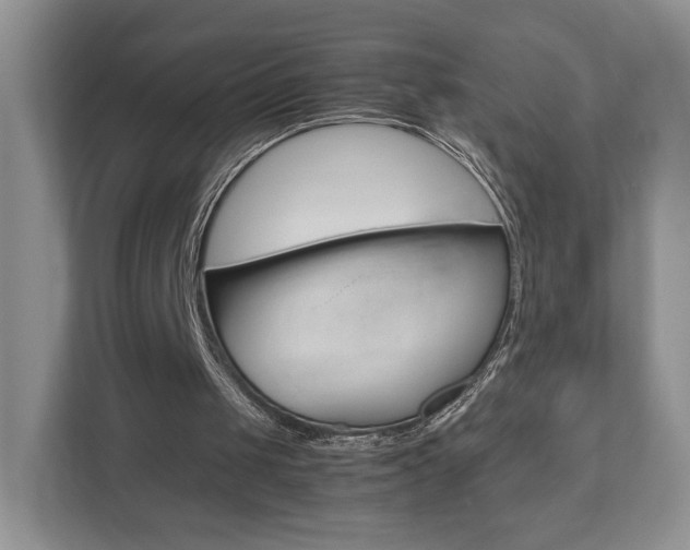 X0000112830049200908210947