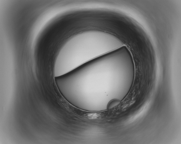 X0000112830050200908210947