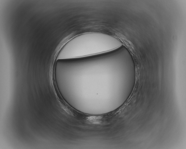 X0000112830051200908210947