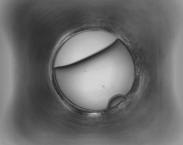 X0000112830053200908210947