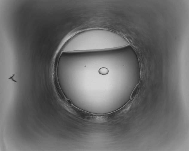 X0000112830056200908210947
