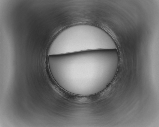 X0000112830058200908210947