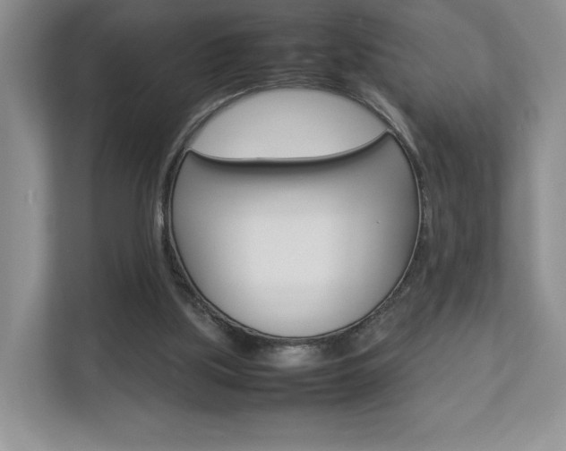 X0000112830059200908210947