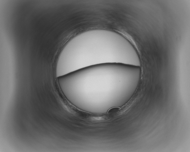 X0000112830061200908210947