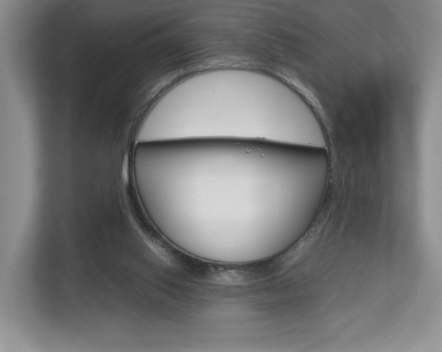 X0000112830062200908210947