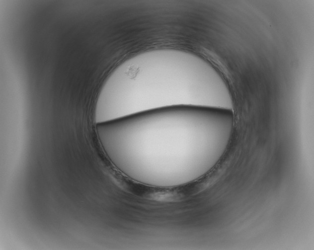 X0000112830065200908210947