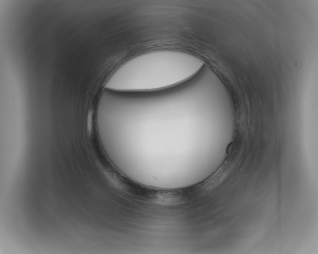 X0000112830070200908210947