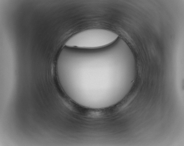 X0000112830071200908210947
