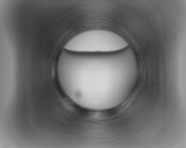 X0000112830074200908210947