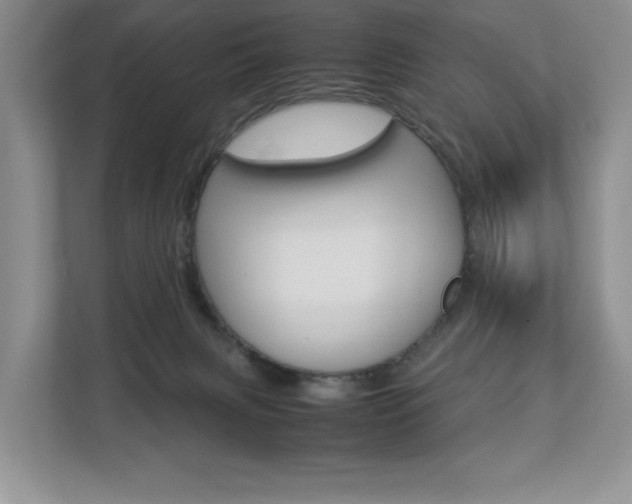 X0000112830079200908210947