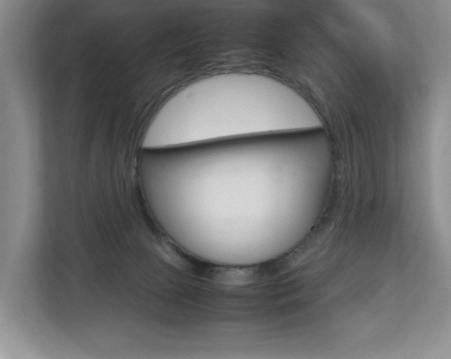 X0000112830081200908210947