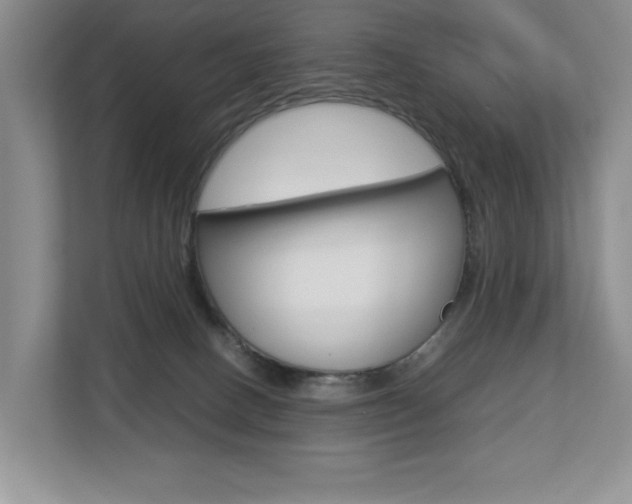 X0000112830082200908210947