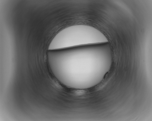 X0000112830085200908210947