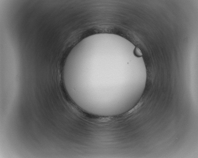 X0000112830086200908210947