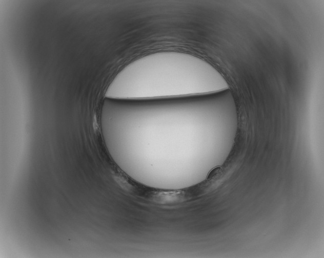 X0000112830089200908210947