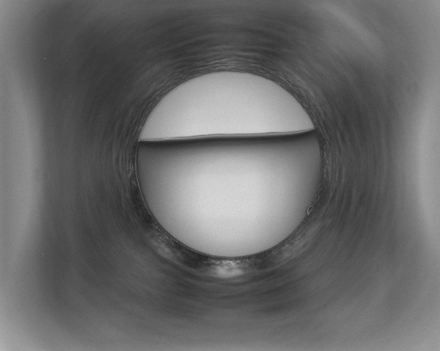 X0000112830091200908210947