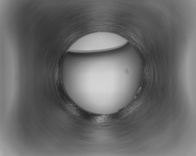 X0000112830092200908210947