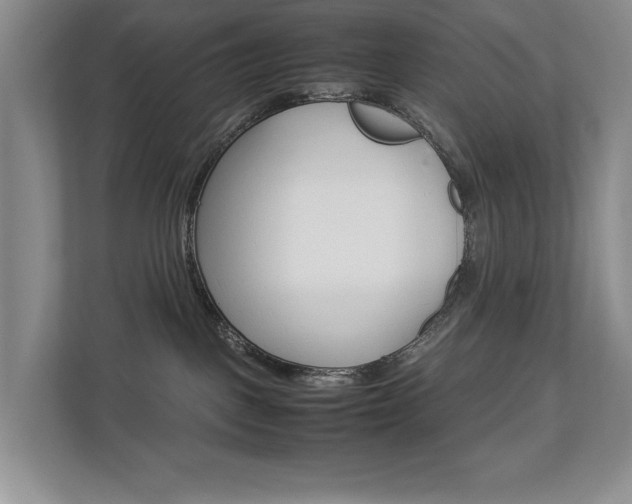 X0000112830093200908210947