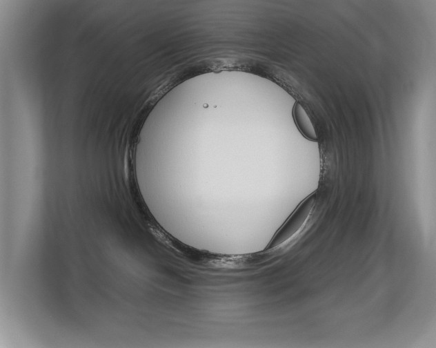 X0000112830094200908210947