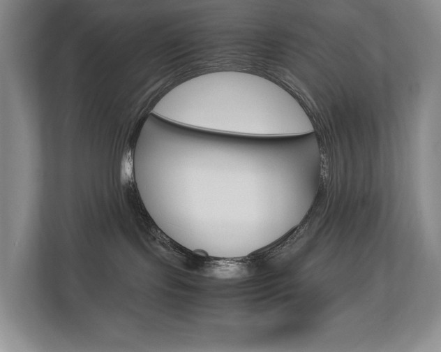 X0000112830095200908210947