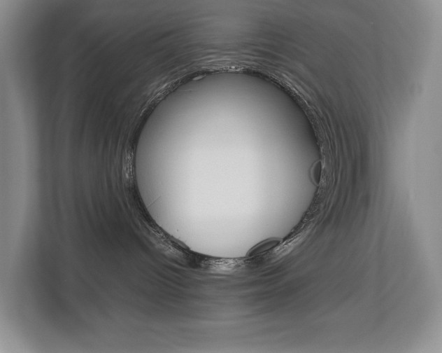 X0000112830096200908210947