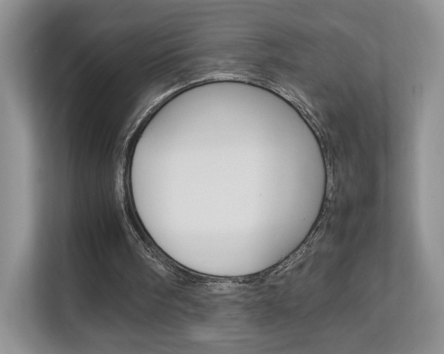 X0000112830098200908210947