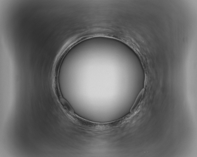 X0000112830101200908210947