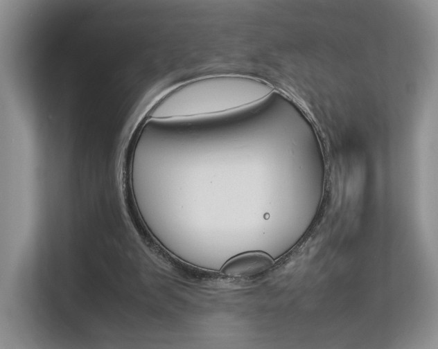 X0000112830103200908210947