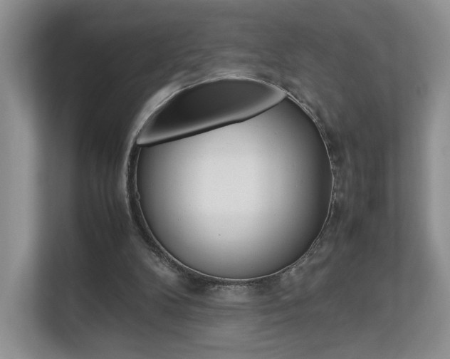 X0000112830104200908210947