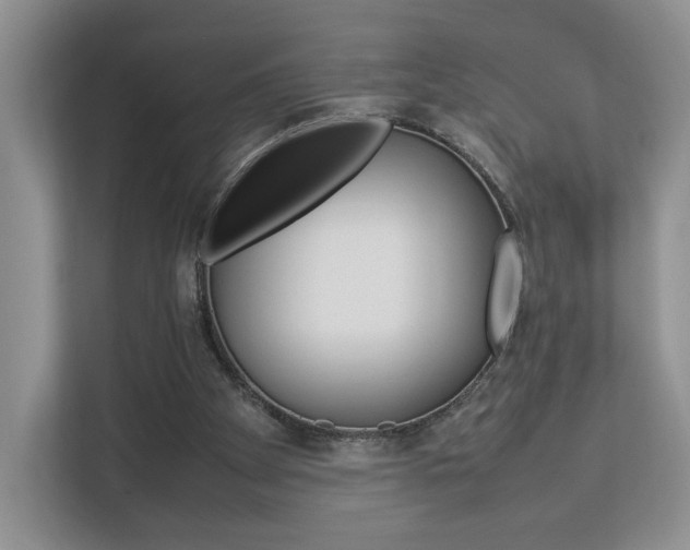 X0000112830105200908210947