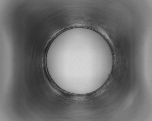 X0000112830106200908210947
