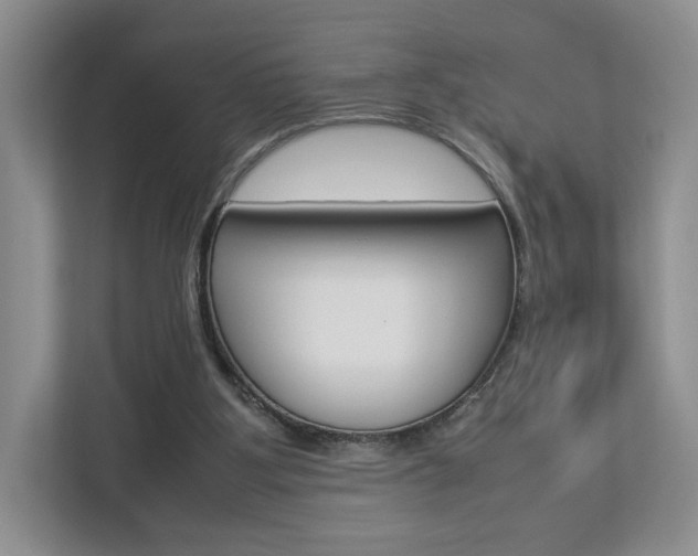X0000112830107200908210946