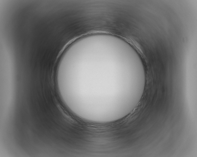 X0000112830108200908210946