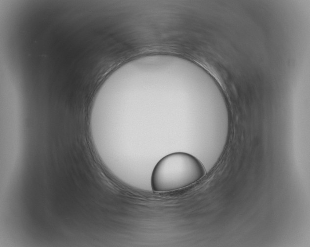 X0000112830109200908210946