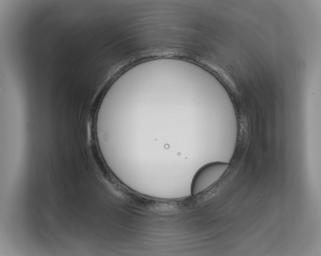 X0000112830110200908210946