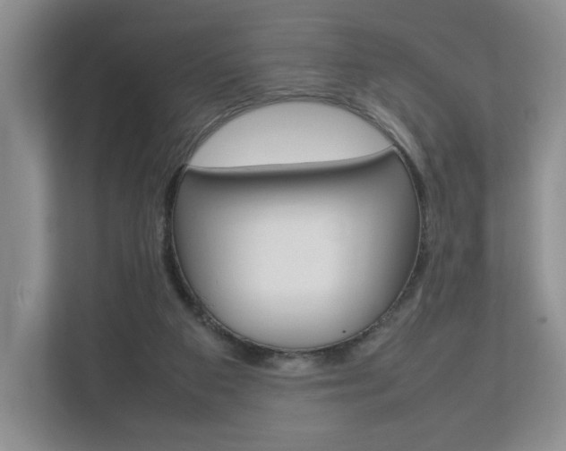 X0000112830113200908210946