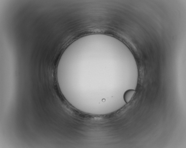 X0000112830114200908210946