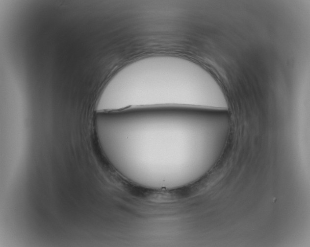X0000112830123200908210946