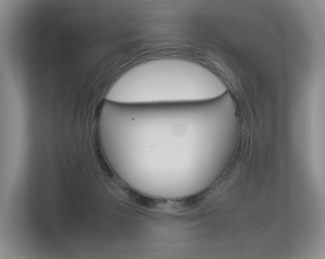 X0000112830125200908210946
