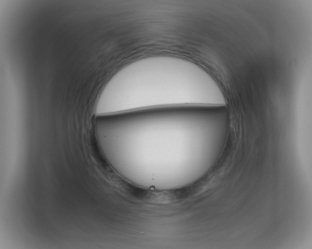 X0000112830127200908210946